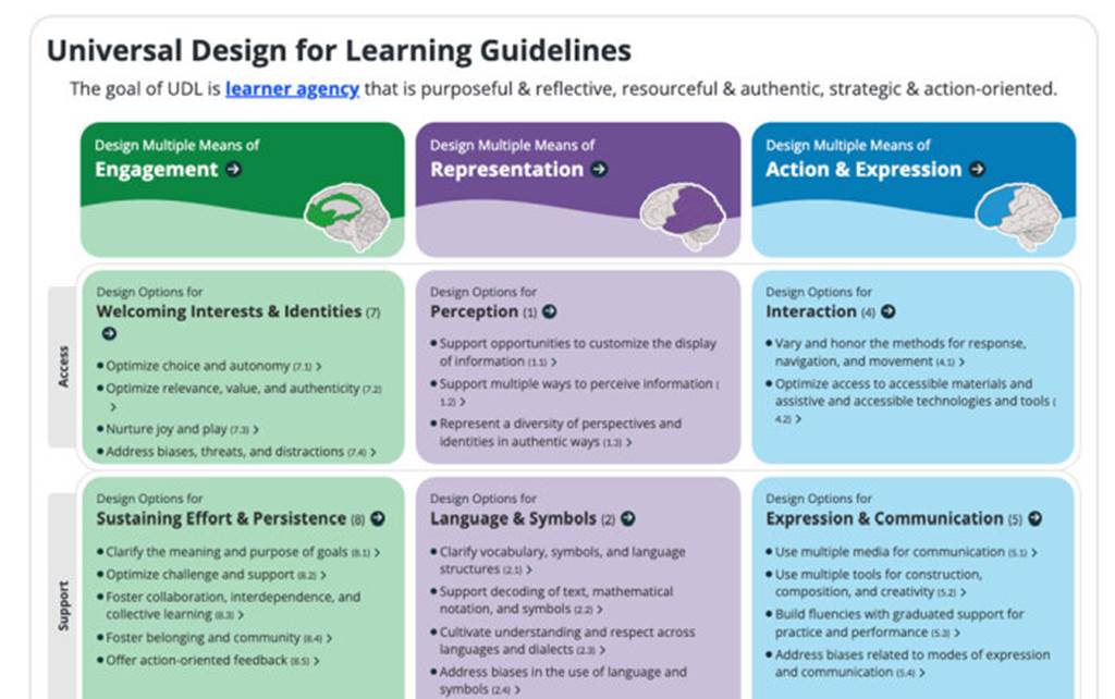 Universal Design for Learning (UDL) - Banner