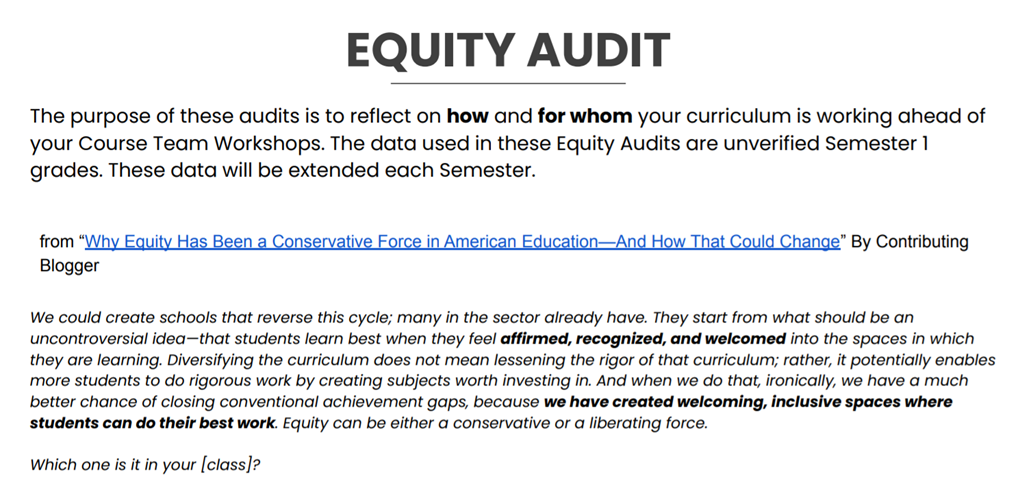 Equity Audit Screenshot