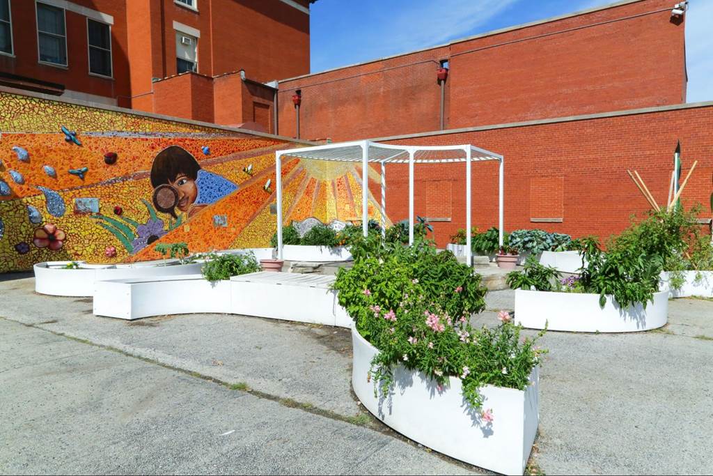 School garden